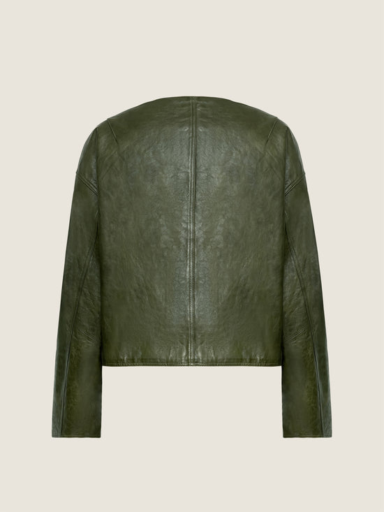 Olive Lambskin Button Jacket M31N